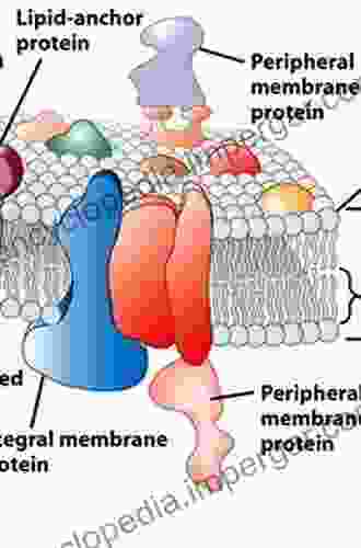 Physics Of Biological Membranes