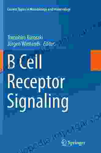 B Cell Receptor Signaling (Current Topics In Microbiology And Immunology 393)