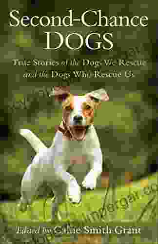 Second Chance Dogs: True Stories Of The Dogs We Rescue And The Dogs Who Rescue Us