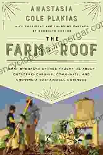 The Farm On The Roof: What Brooklyn Grange Taught Us About Entrepreneurship Community And Growing A Sustainable Business