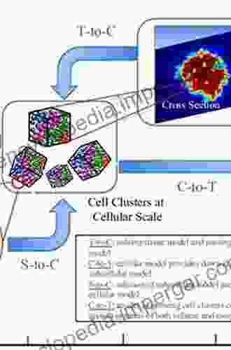 Multiscale Characterization Of Biological Systems: Spectroscopy And Modeling