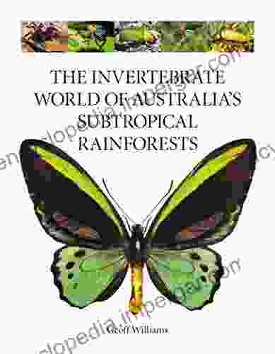 The Invertebrate World Of Australia S Subtropical Rainforests