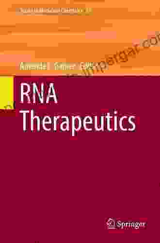 RNA Therapeutics (Topics In Medicinal Chemistry 27)