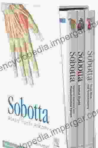 Sobotta Atlas Of Human Anatomy Vol 1 15th Ed English: General Anatomy And Musculoskeletal System