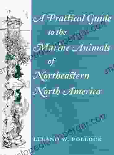 A Practical Guide To The Marine Animals Of Northeastern North America