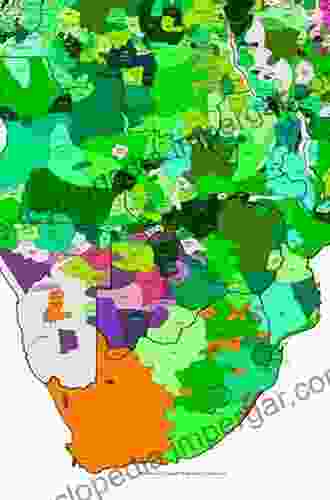 The Social And Political History Of Southern Africa S Languages